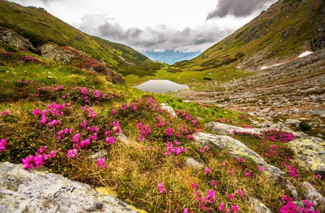 Готель Cabana Cascada Cailor Борша Екстер'єр фото