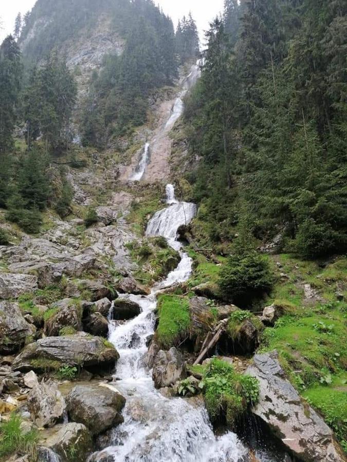 Готель Cabana Cascada Cailor Борша Екстер'єр фото