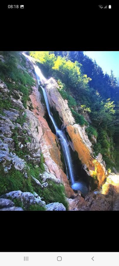 Готель Cabana Cascada Cailor Борша Екстер'єр фото